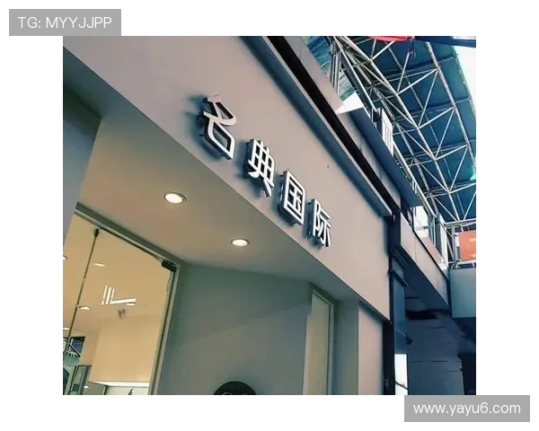 名典国际:引领全球文化交流与创新发展的先锋平台